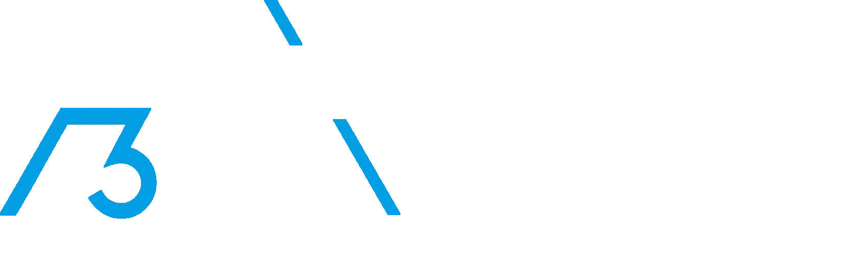 А3 Констракшн